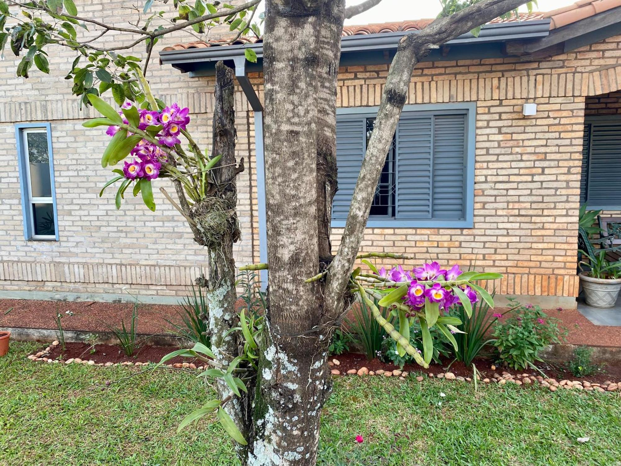 Moderna Y Unica Casa Independiente Con Jardin Y Estacionamiento Ciudad del Este Exteriör bild
