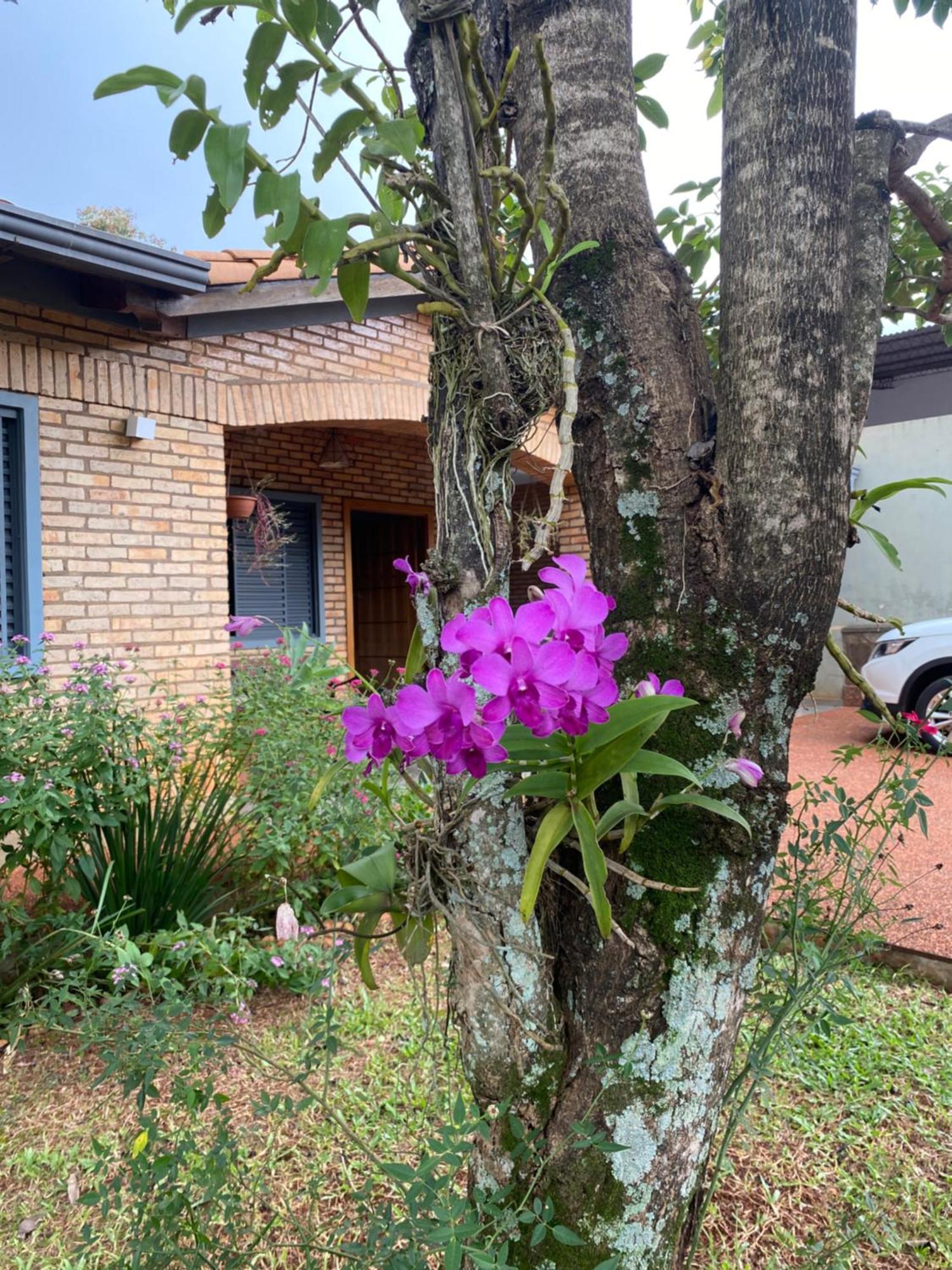 Moderna Y Unica Casa Independiente Con Jardin Y Estacionamiento Ciudad del Este Exteriör bild
